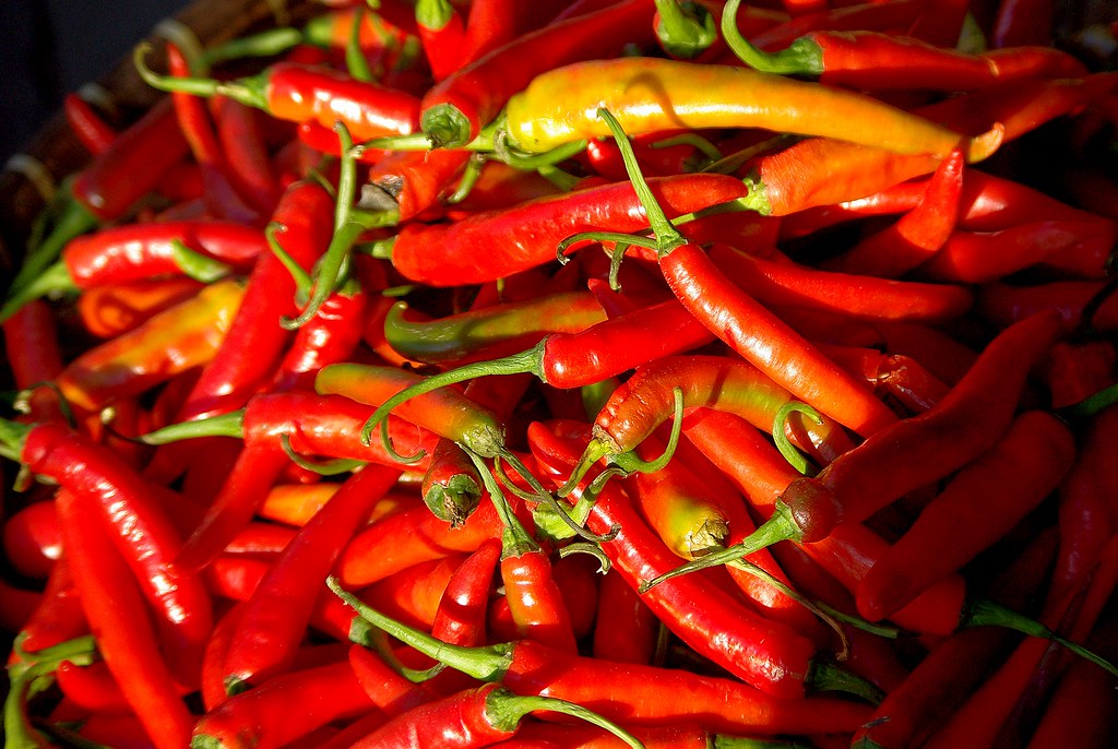 Spicy Food on Your Period: Does It Make Cramps Worse?